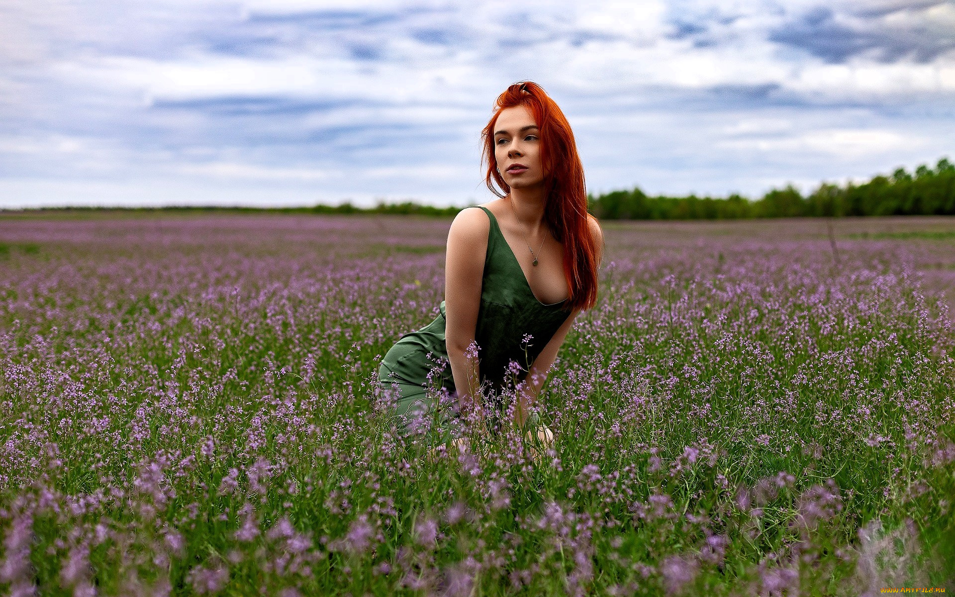 девушки, -, рыжеволосые, и, разноцветные, рыжая, платье, цветы, луг