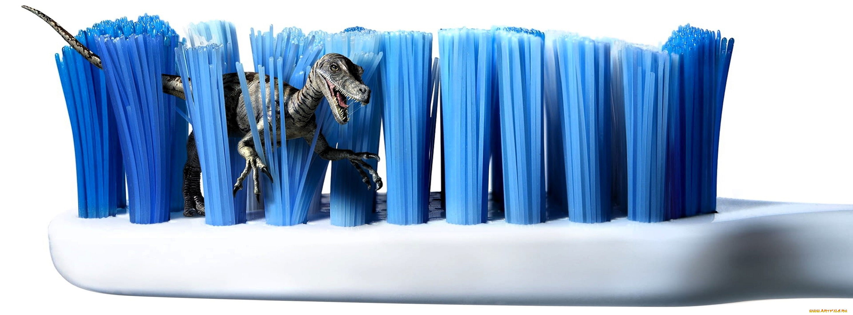 юмор, и, приколы, зубная, щетка, щетина, динозавр