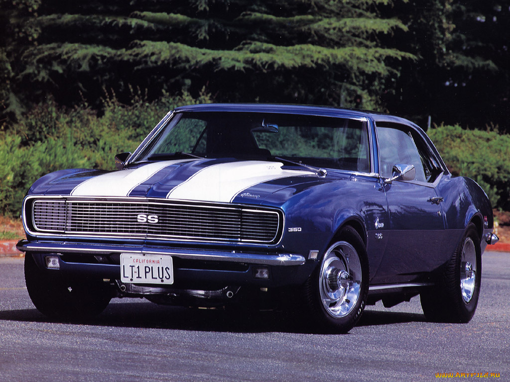 chevrolet, автомобили, camaro