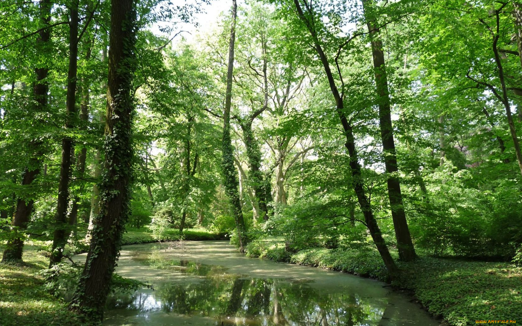 природа, реки, озера