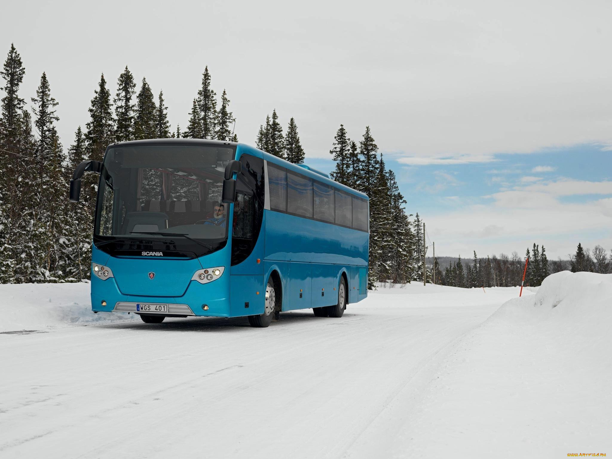 автомобили, автобусы