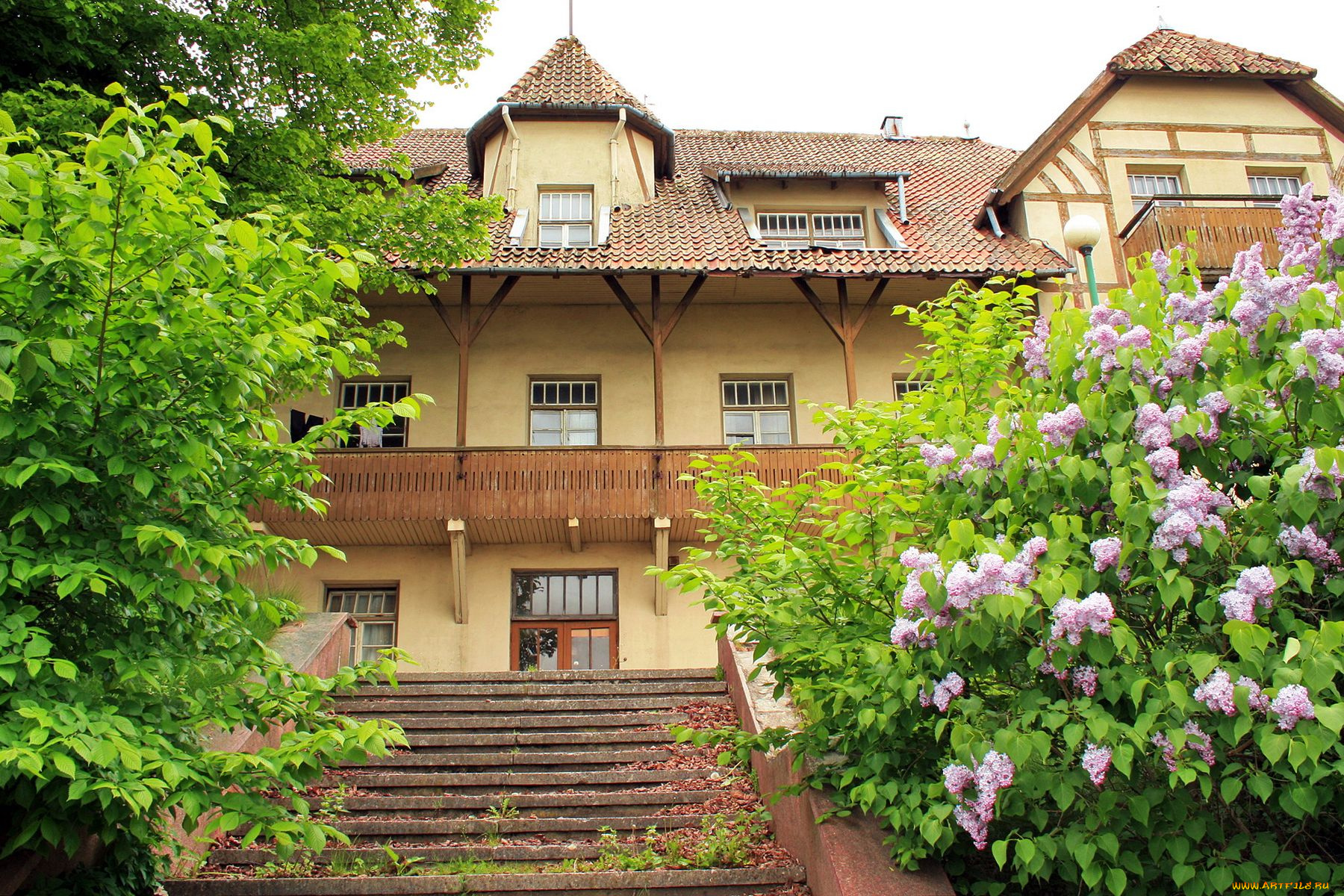 клайпеда, литва, города, здания, дома, здание, дом, лестница, балкон, деревья, сирень, зелень