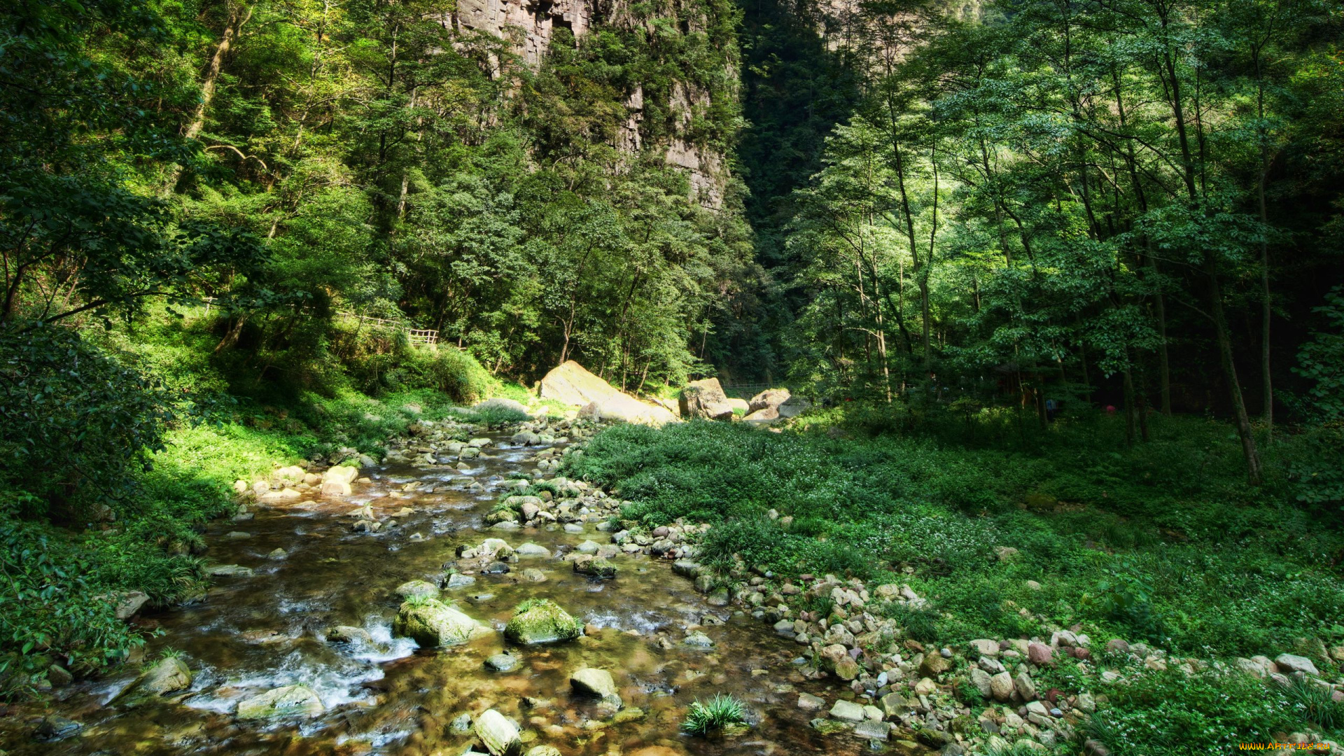 природа, реки, озера, china, горы, лес, деревья, китай, река, river, камни