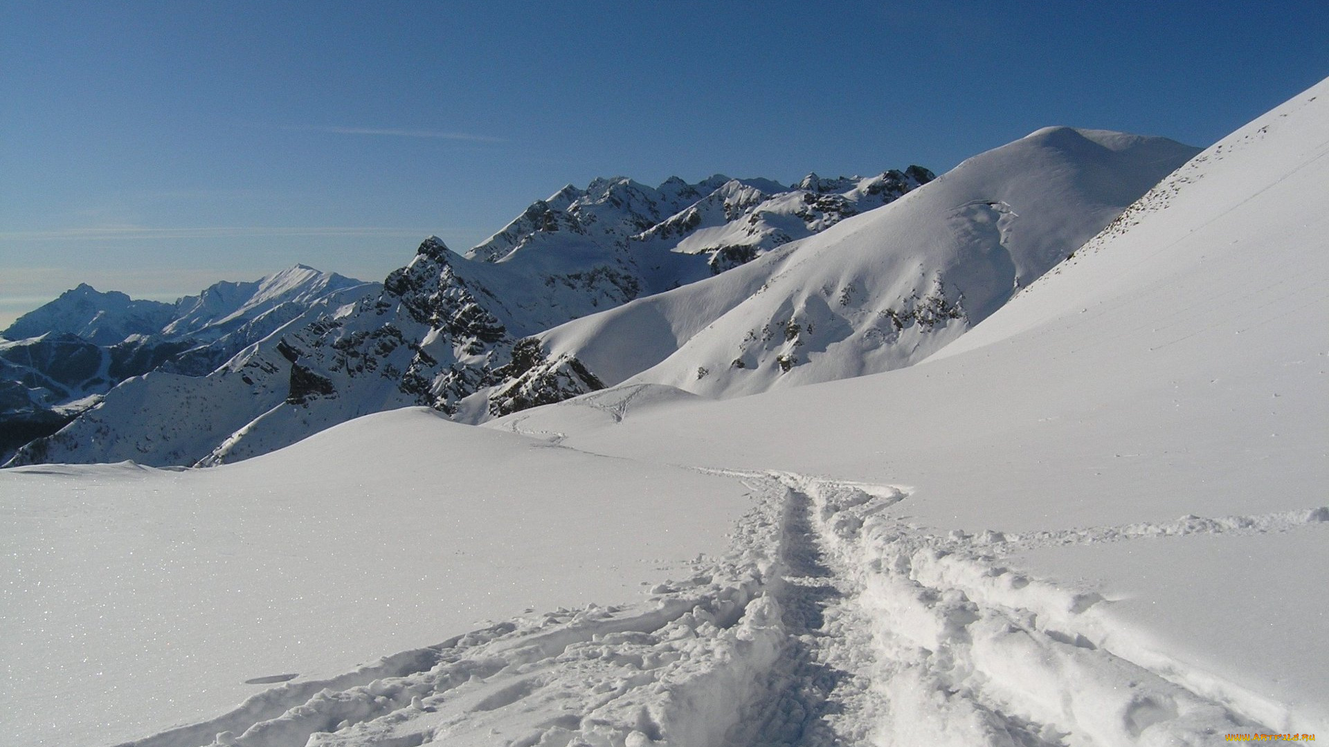 природа, зима