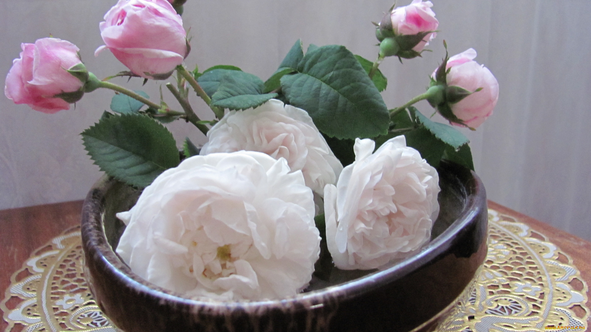 розы, цветы