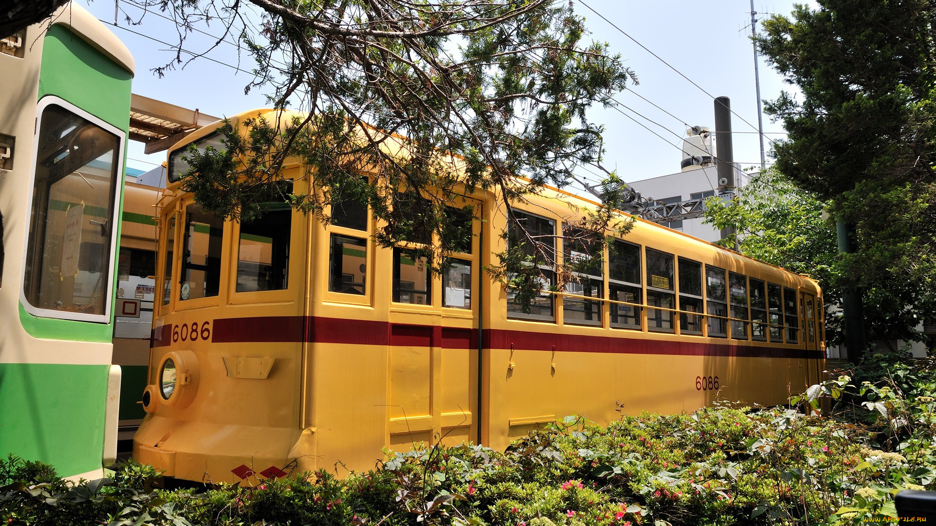 техника, трамваи, кустарники, трамвай