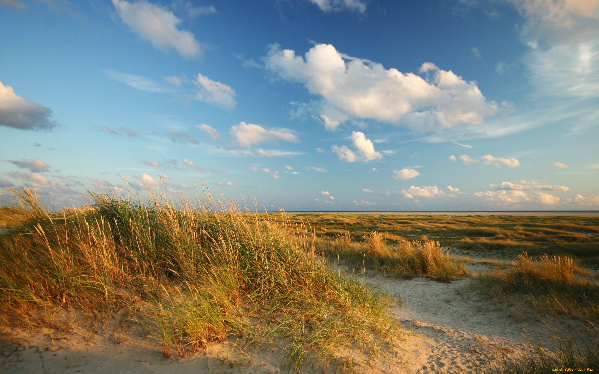 природа, другое