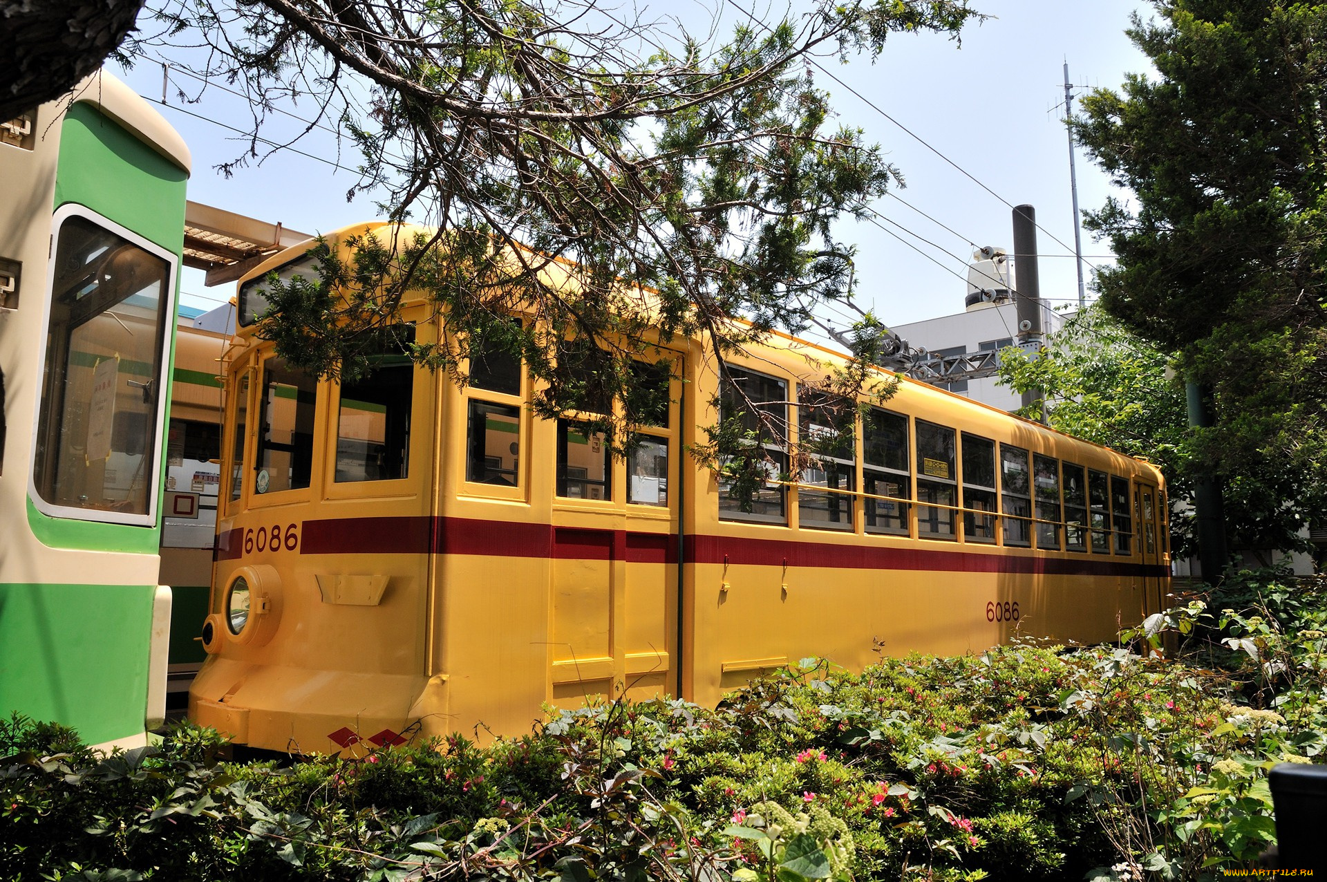техника, трамваи, кустарники, трамвай