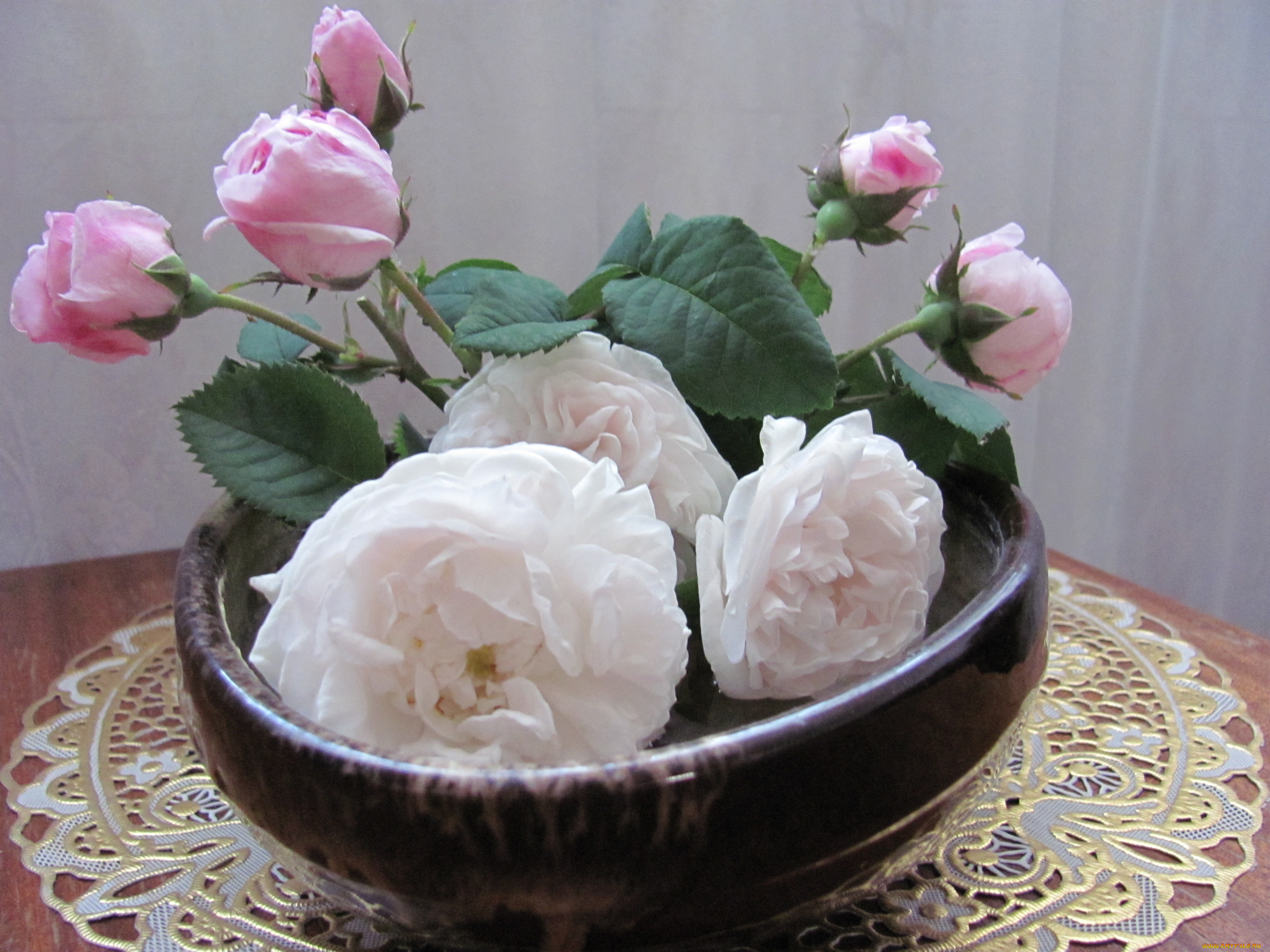 розы, цветы