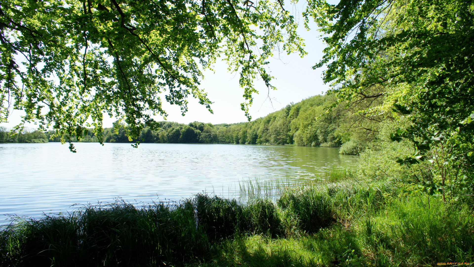 дания, обенро, природа, реки, озера, деревья, река