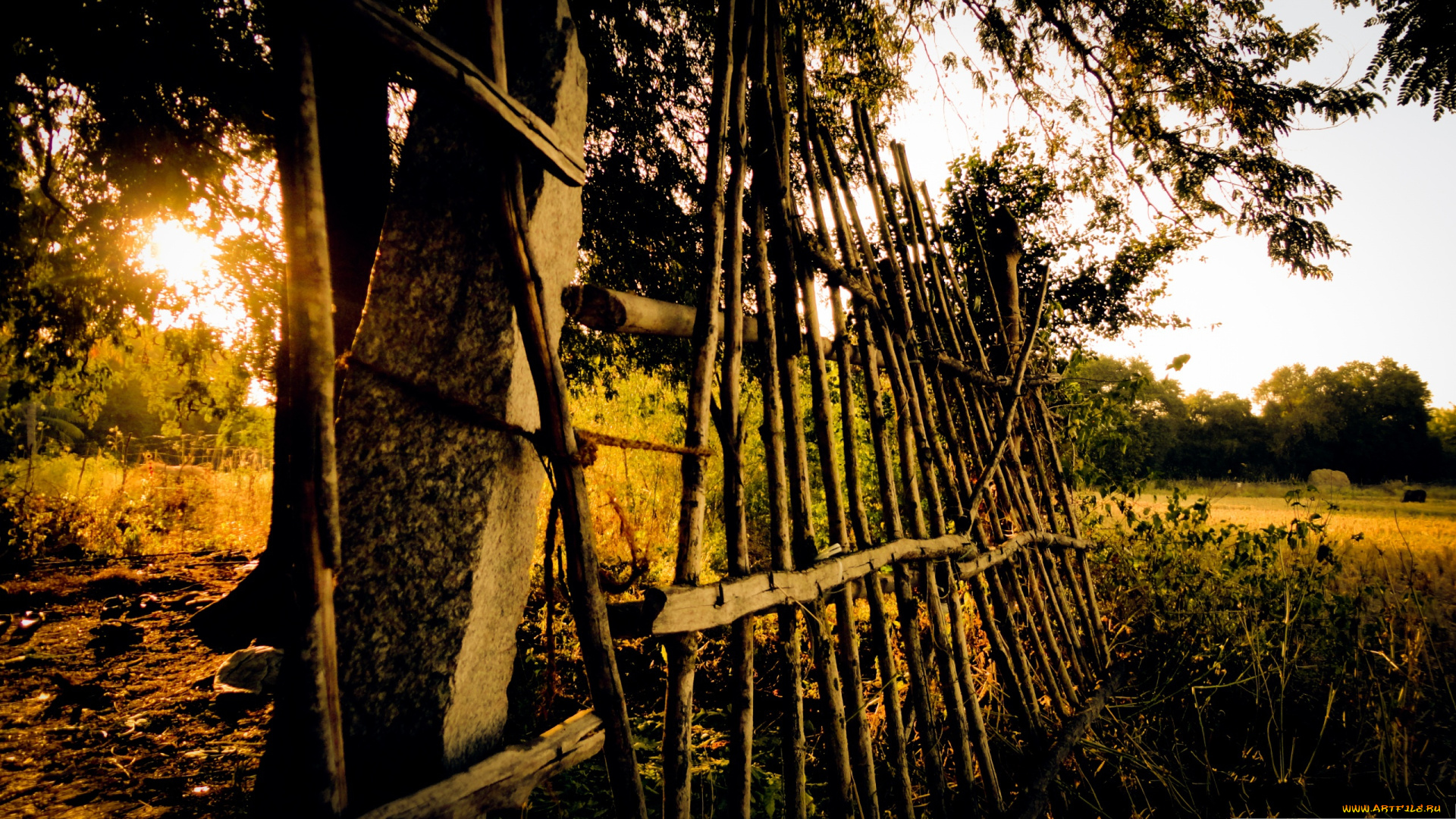 природа, другое, поле, забор, деревья