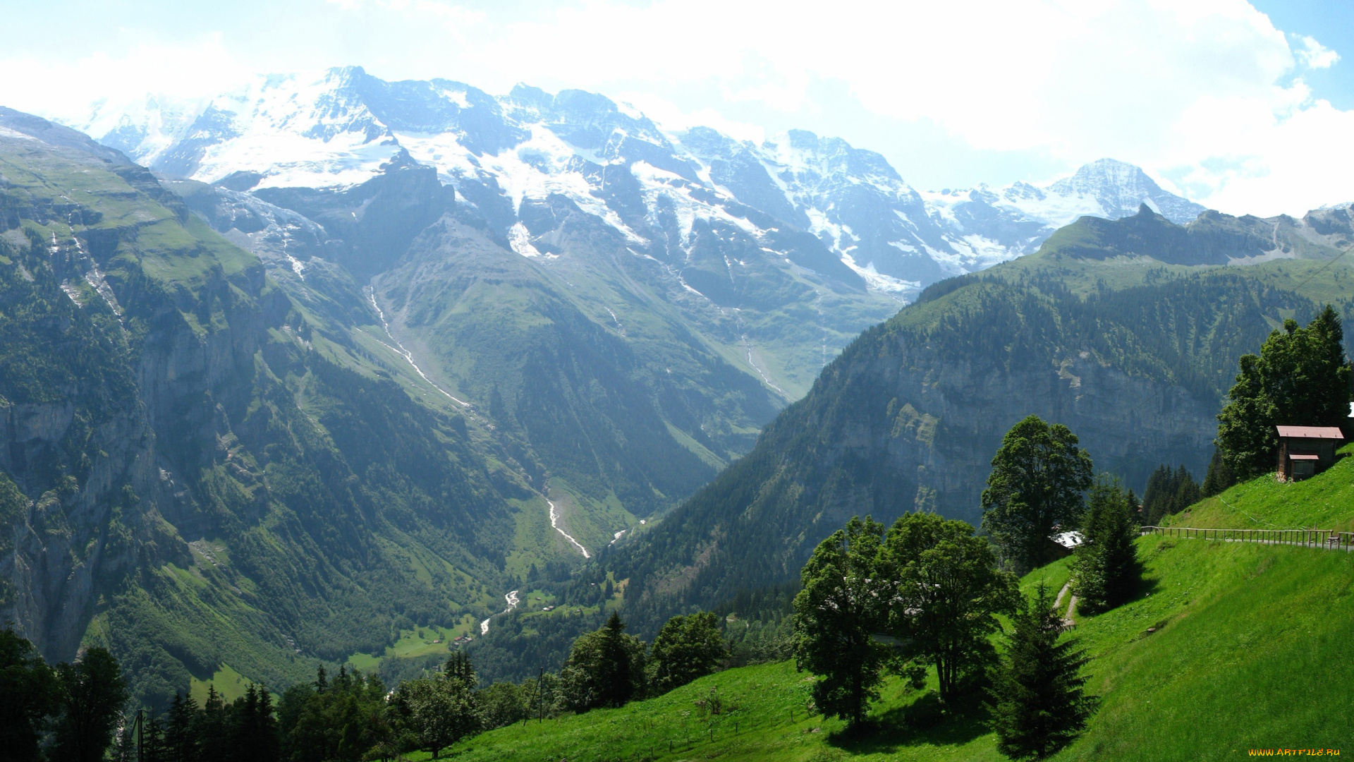 природа, горы, склон, трава, деревья