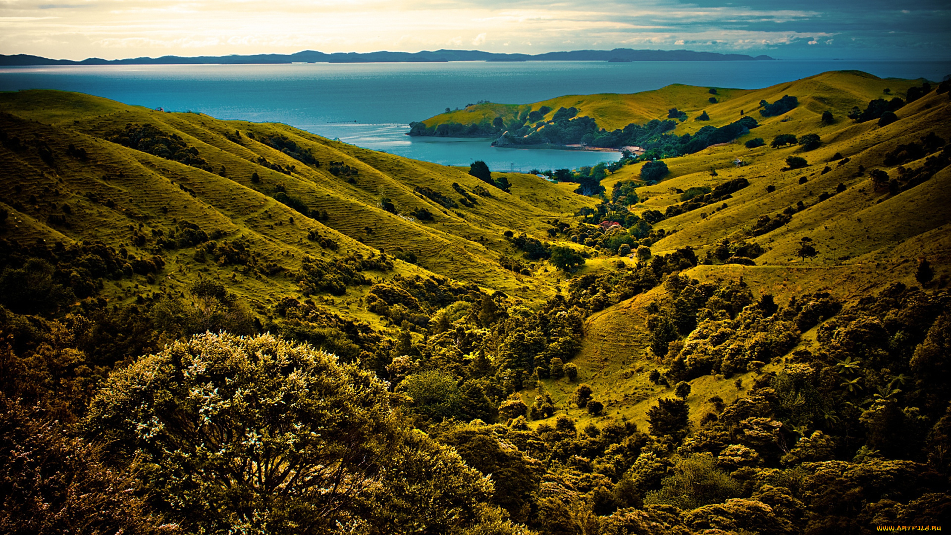 природа, побережье, растительность, мыс, лощина, холмы