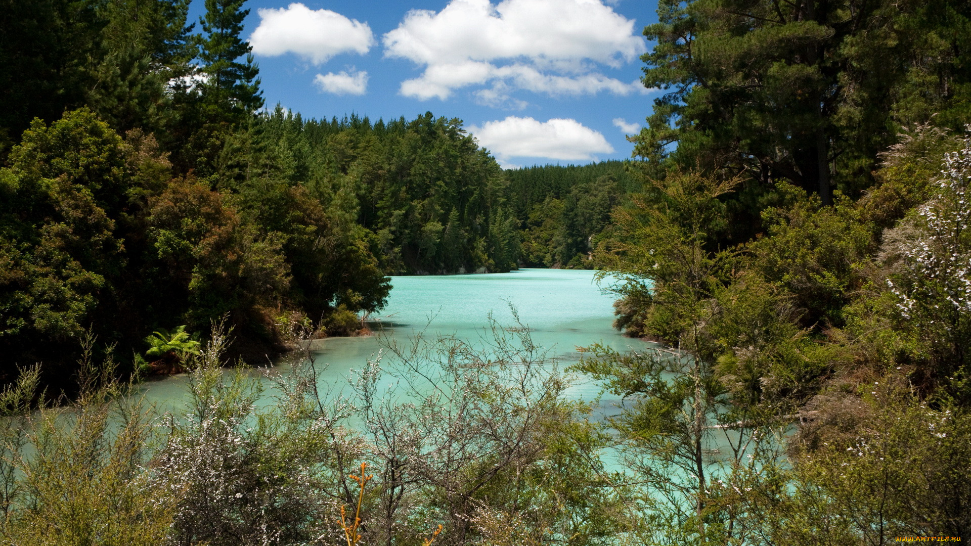 природа, реки, озера, new, zealand, echo, lake