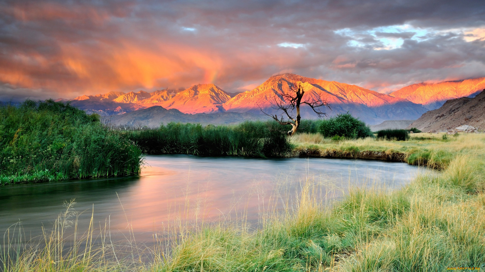 природа, реки, озера, трава, излучина, река, горы