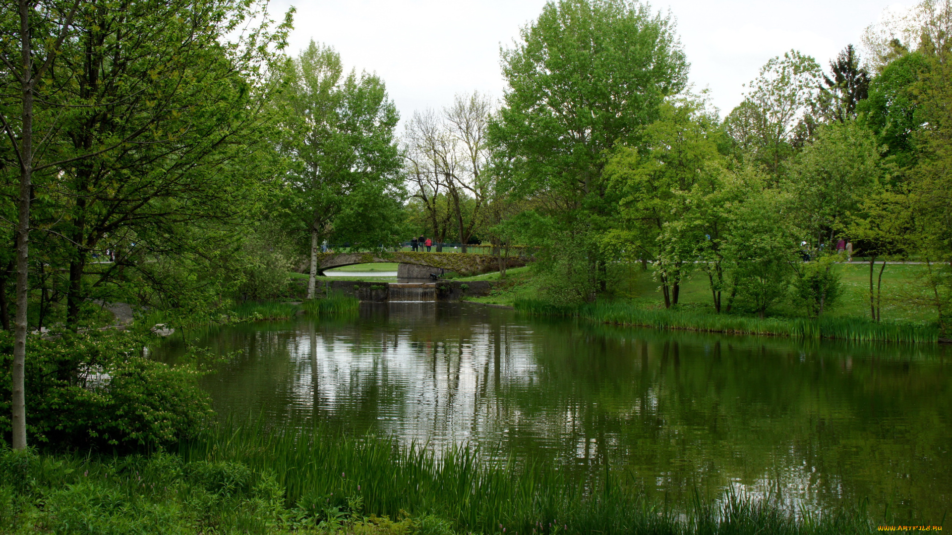 westpark, muenchen, природа, парк, германия