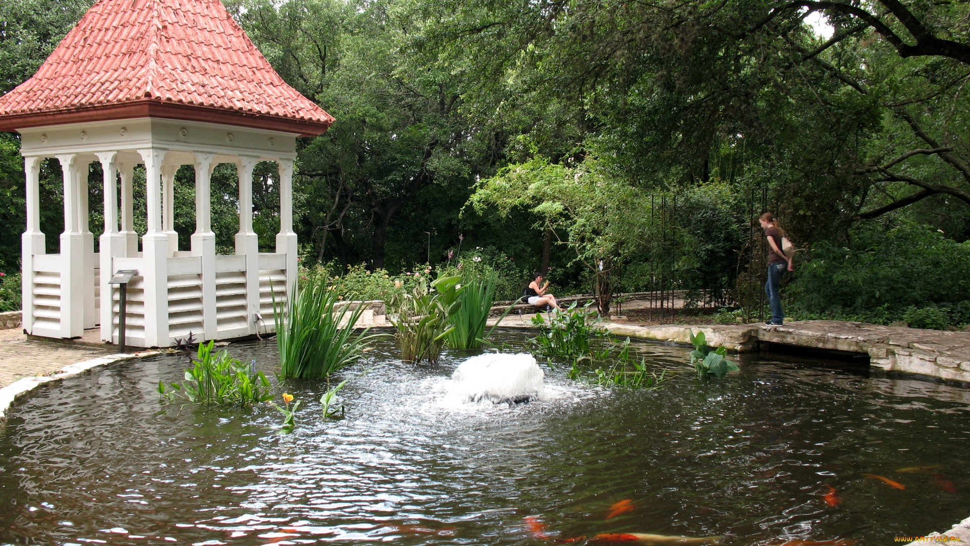zilker, botanical, garden, сша, texas, природа, парк