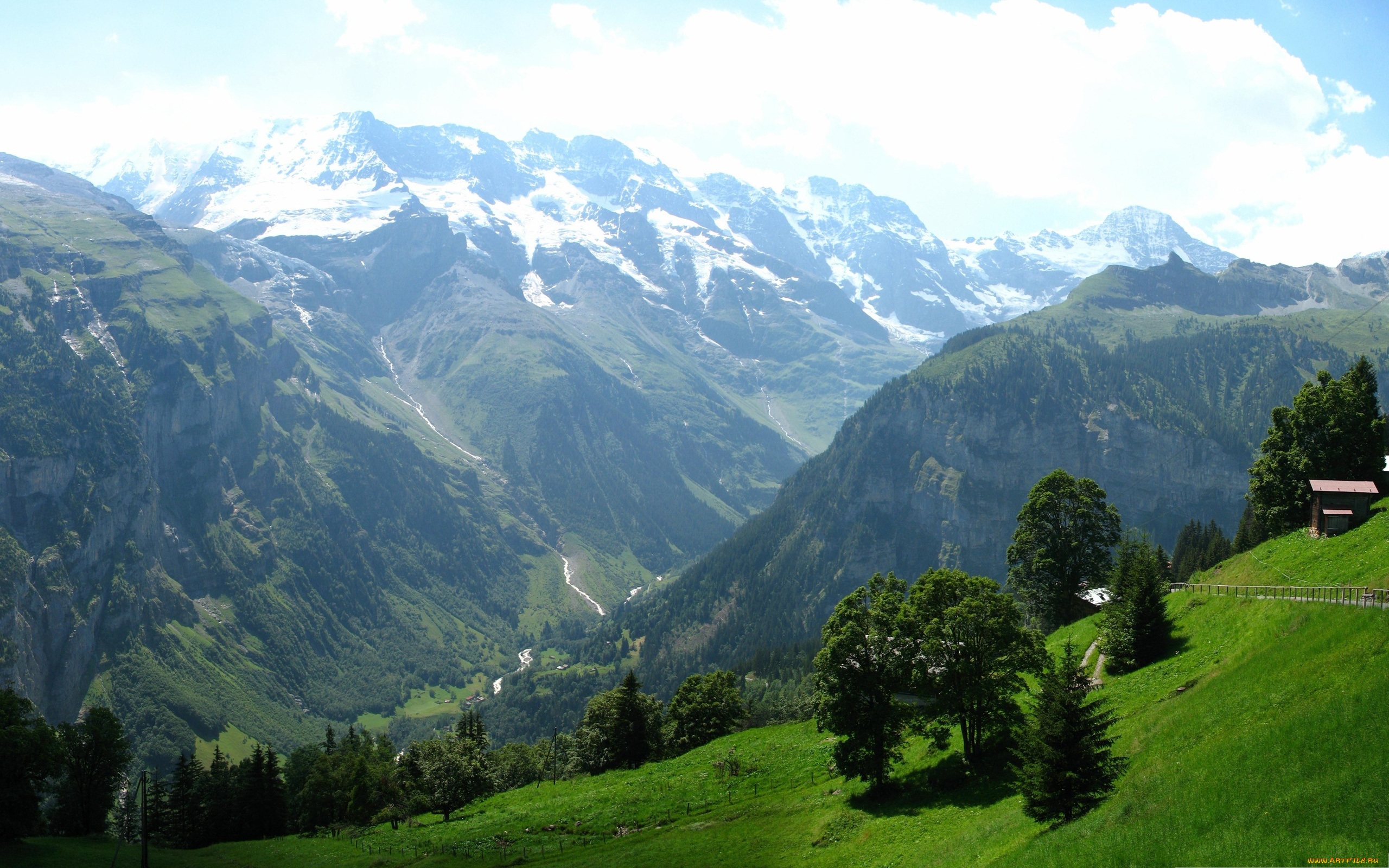 природа, горы, склон, трава, деревья