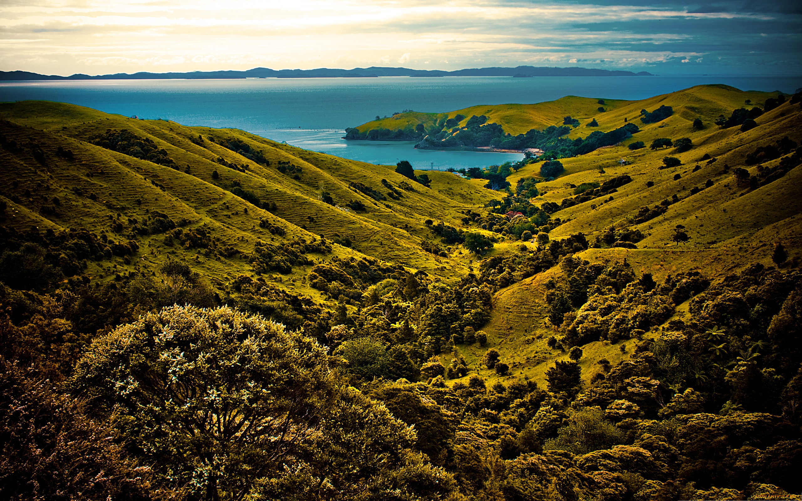 природа, побережье, растительность, мыс, лощина, холмы