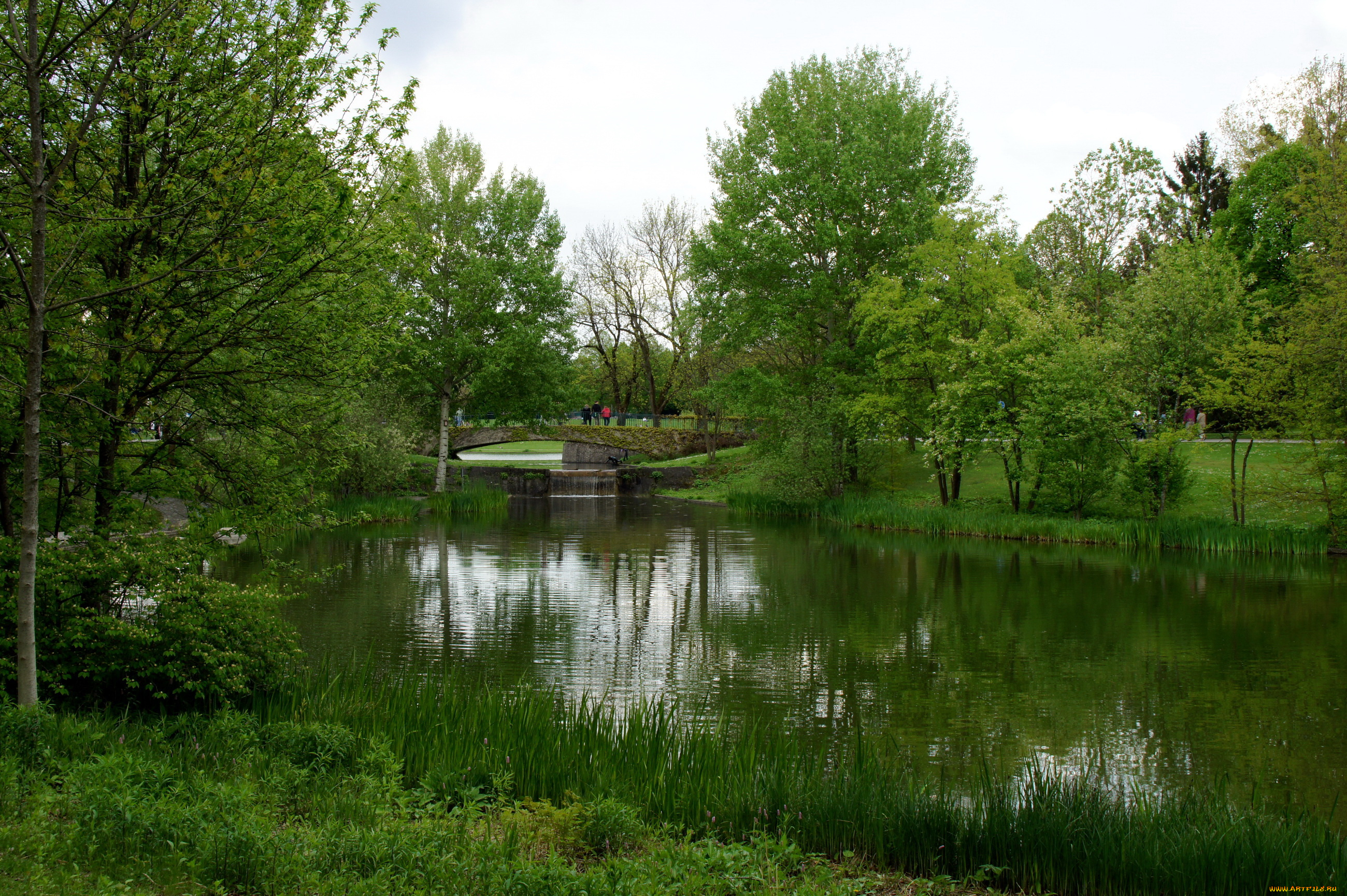 westpark, muenchen, природа, парк, германия