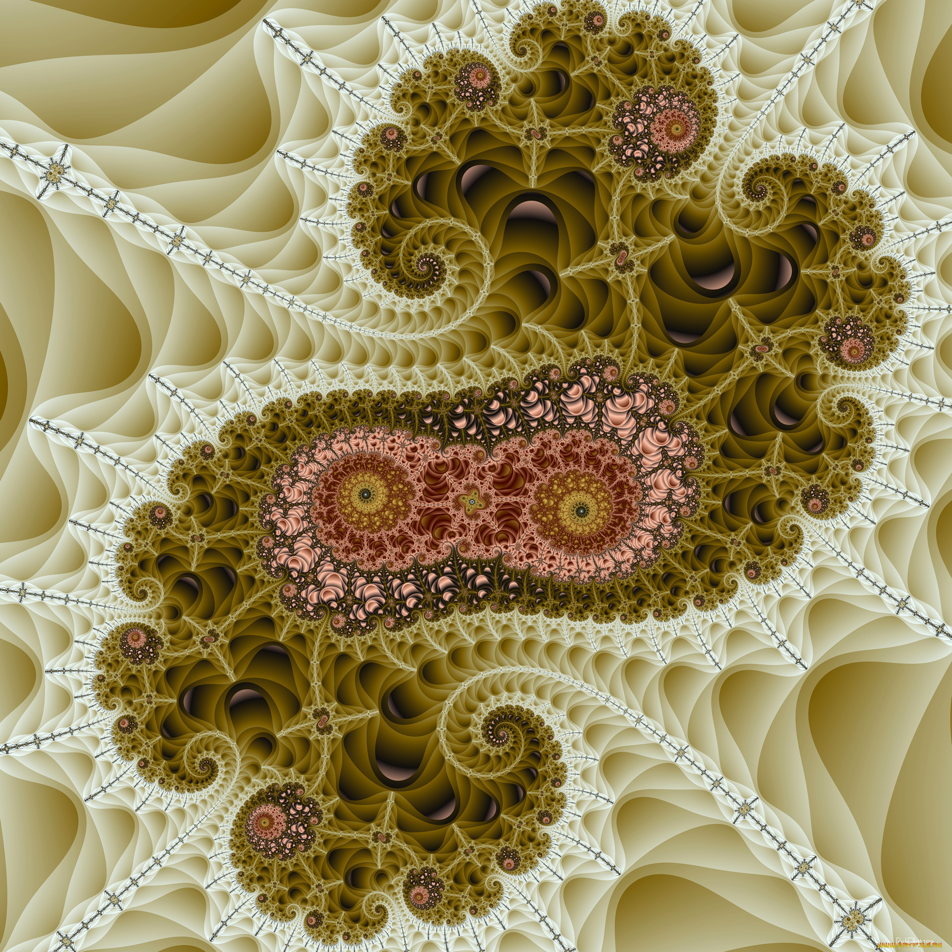 3д, графика, фракталы, , fractal, узор, фон, цвета
