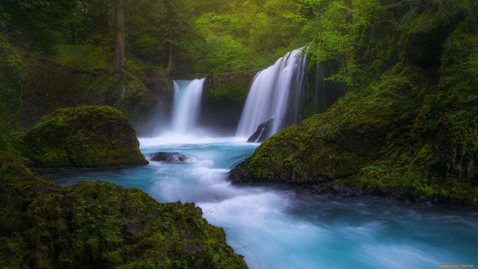 природа, водопады, колумбия, река, водопад, вашингтон, сша, штат, зелень, растения