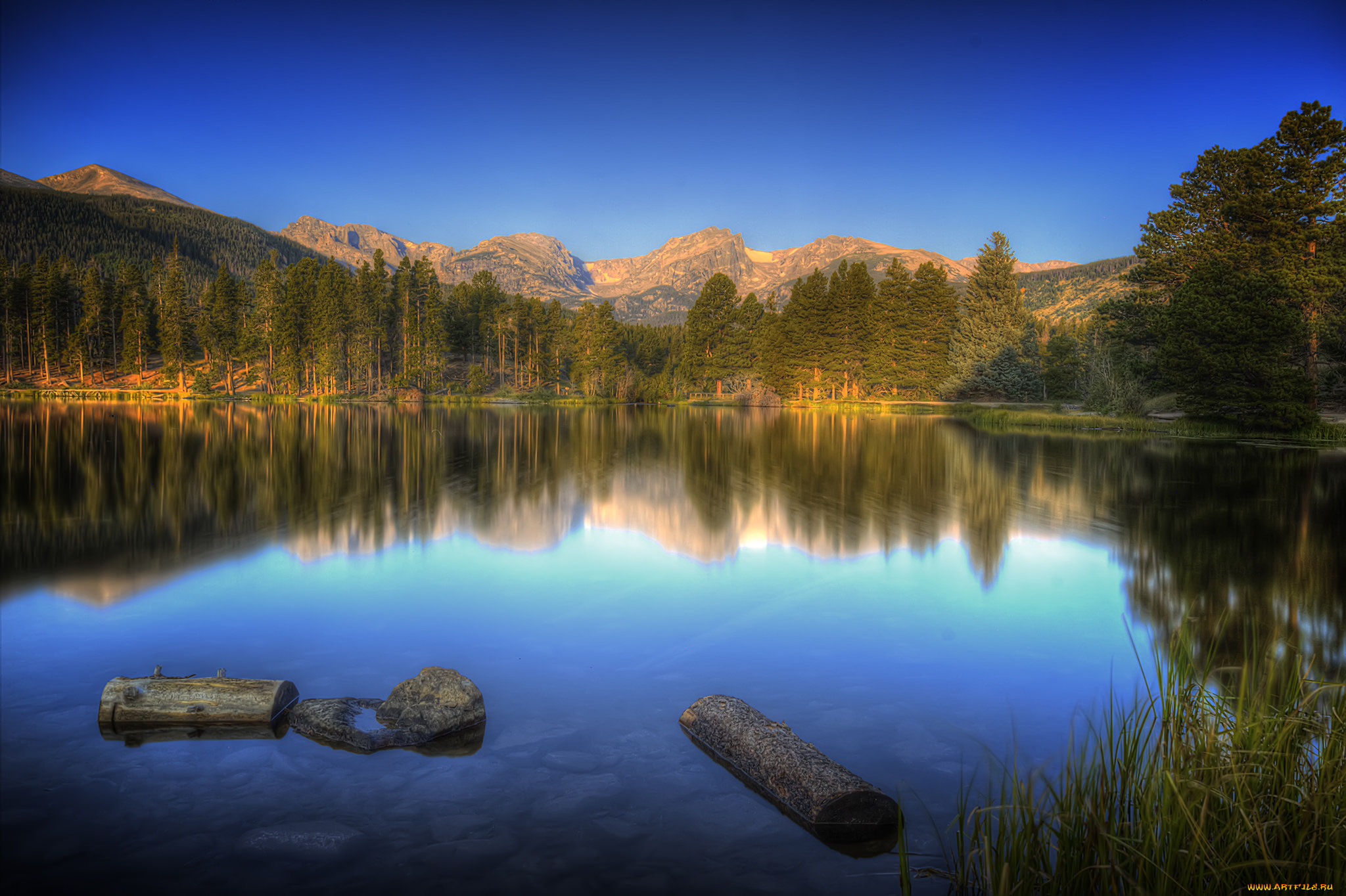 природа, реки, озера, река, лес, горы