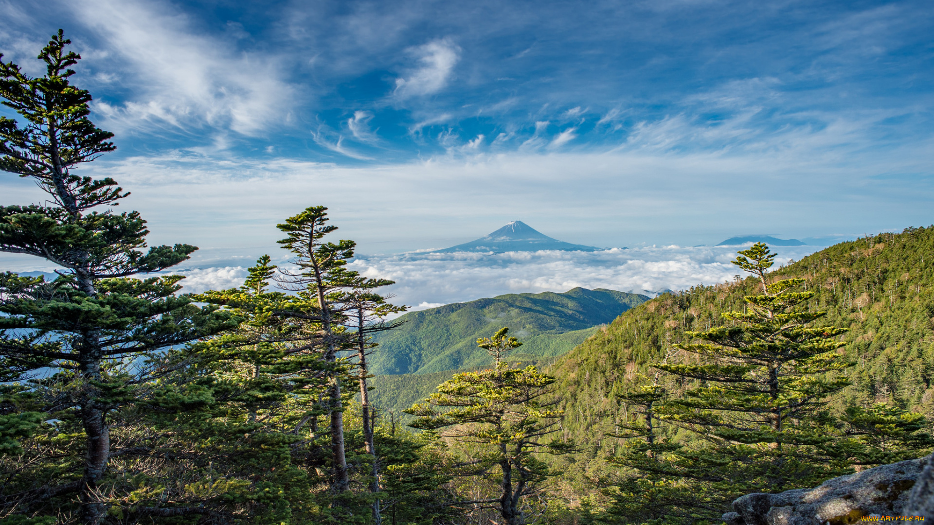 природа, пейзажи, гора, панорама