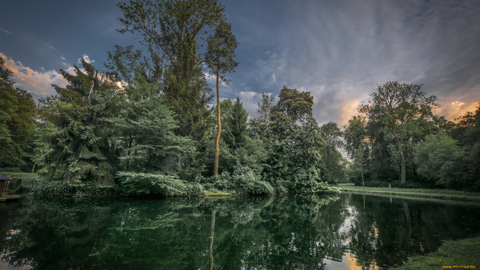 природа, реки, озера, лес, река