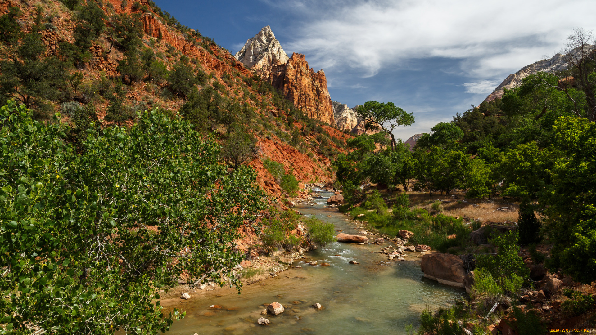 природа, реки, озера, река, лес