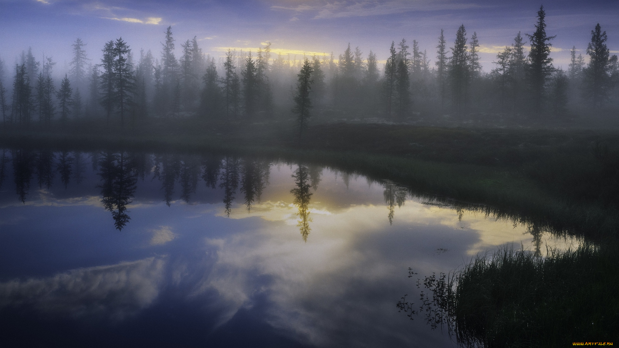 природа, реки, озера, лес, озеро