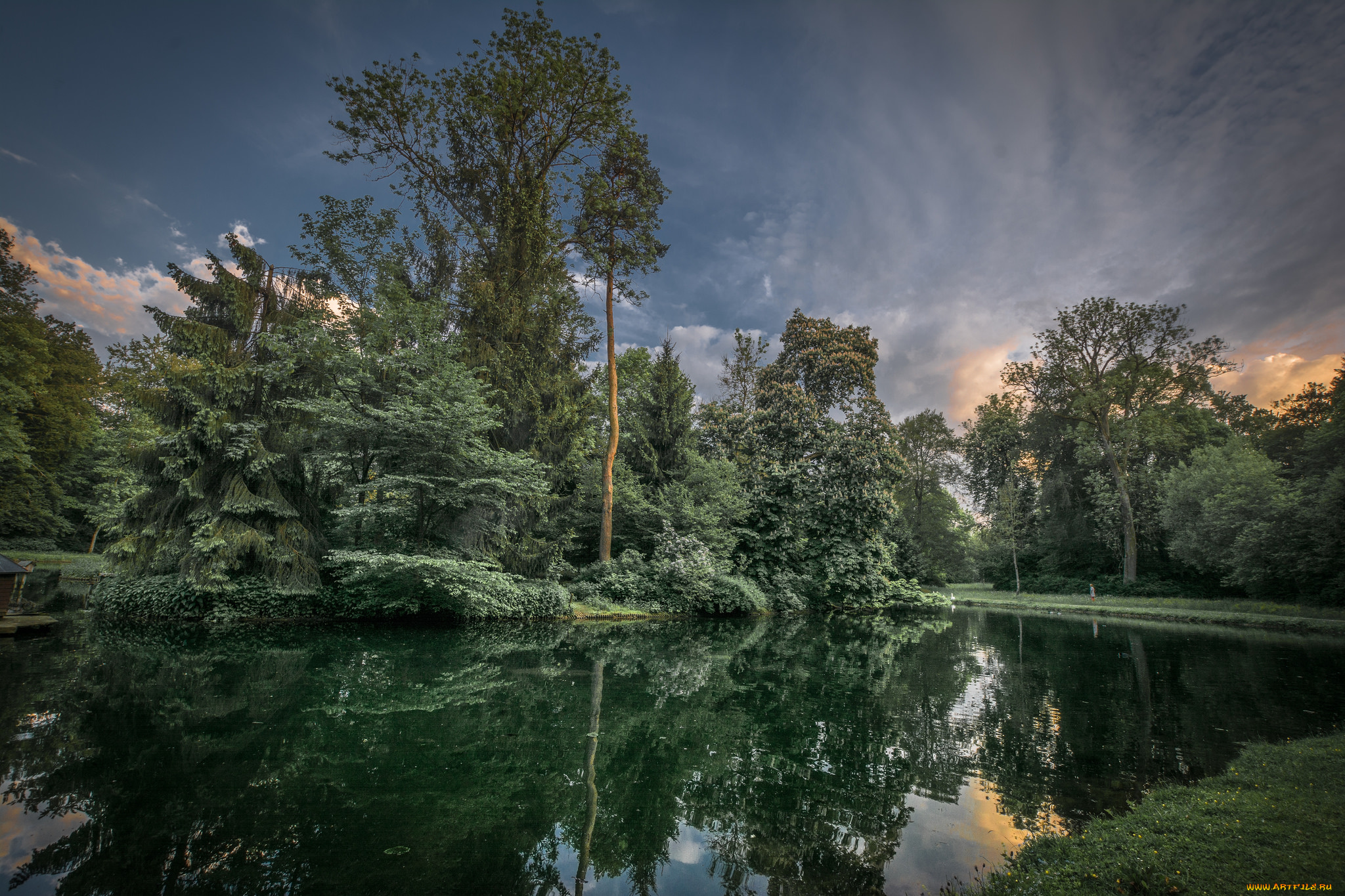 природа, реки, озера, лес, река