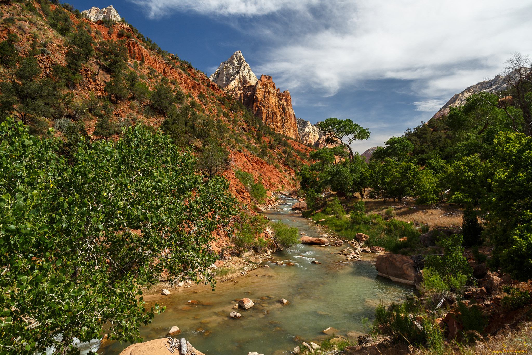 природа, реки, озера, река, лес