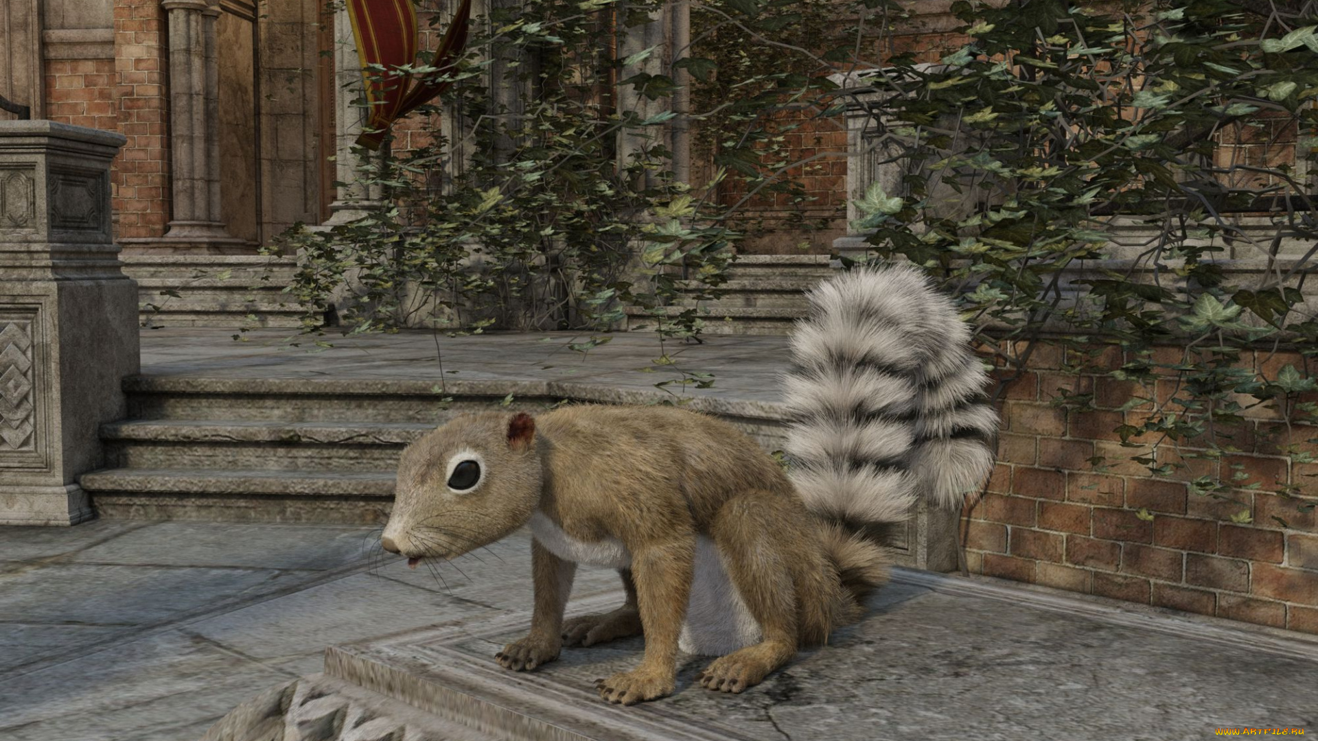 3д, графика, животные, , animals, белка