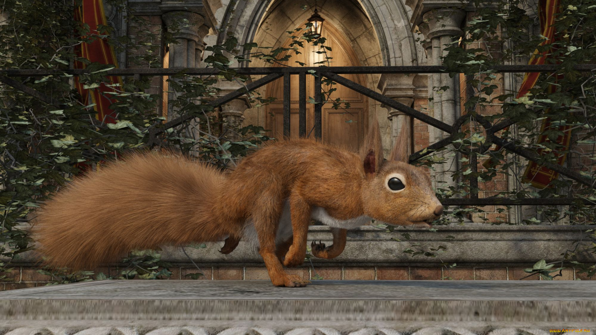 3д, графика, животные, , animals, белка