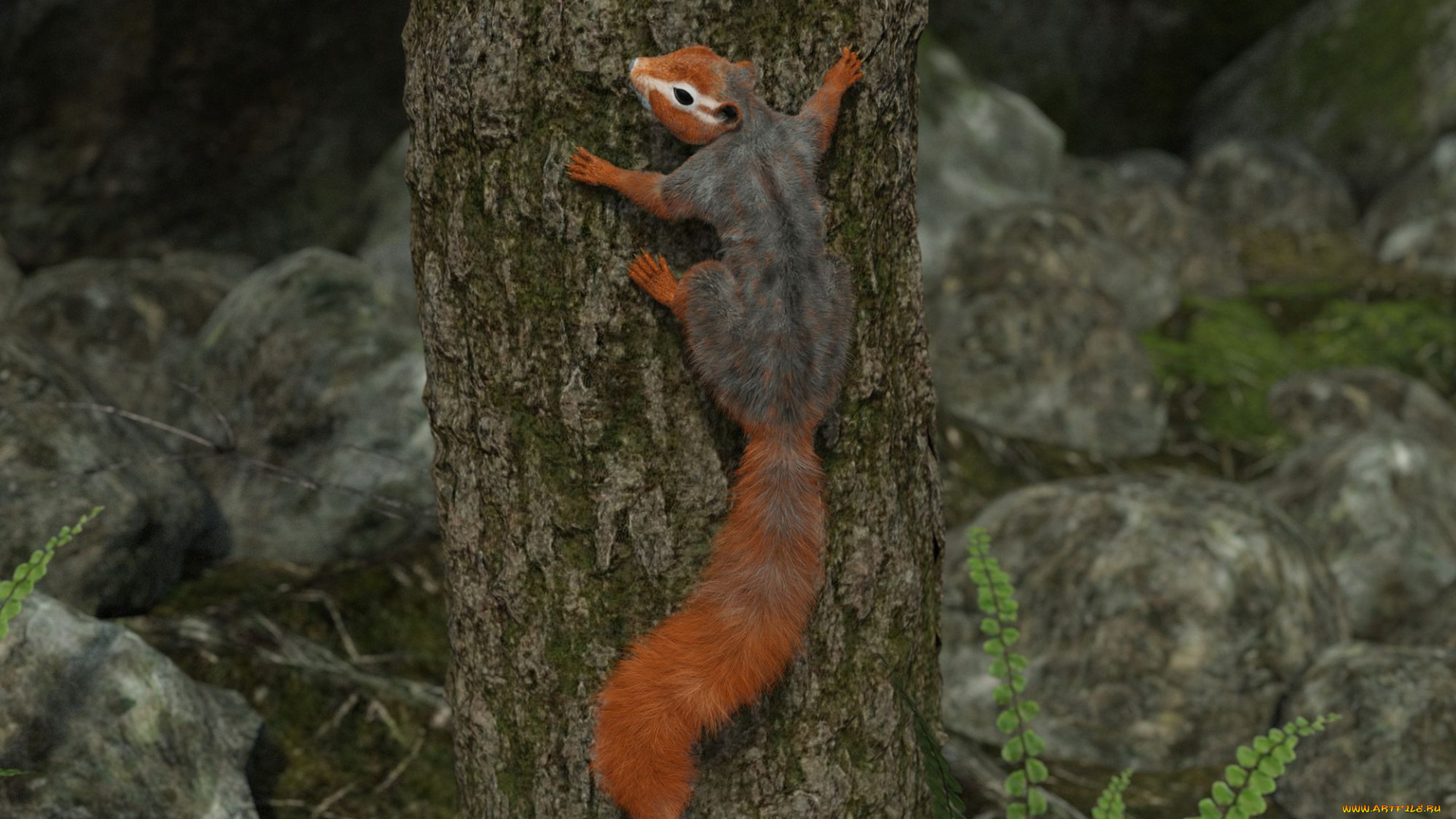 3д, графика, животные, , animals, белка