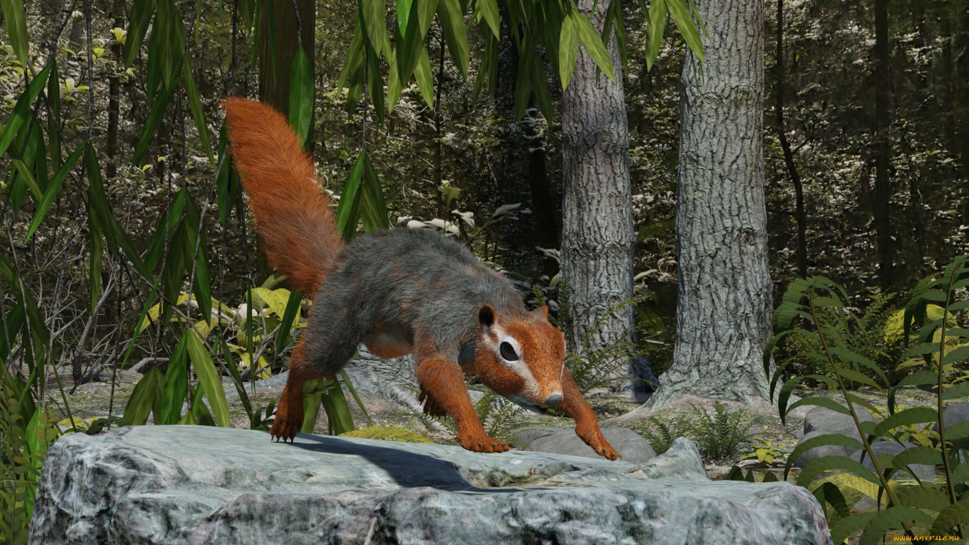 3д, графика, животные, , animals, белка