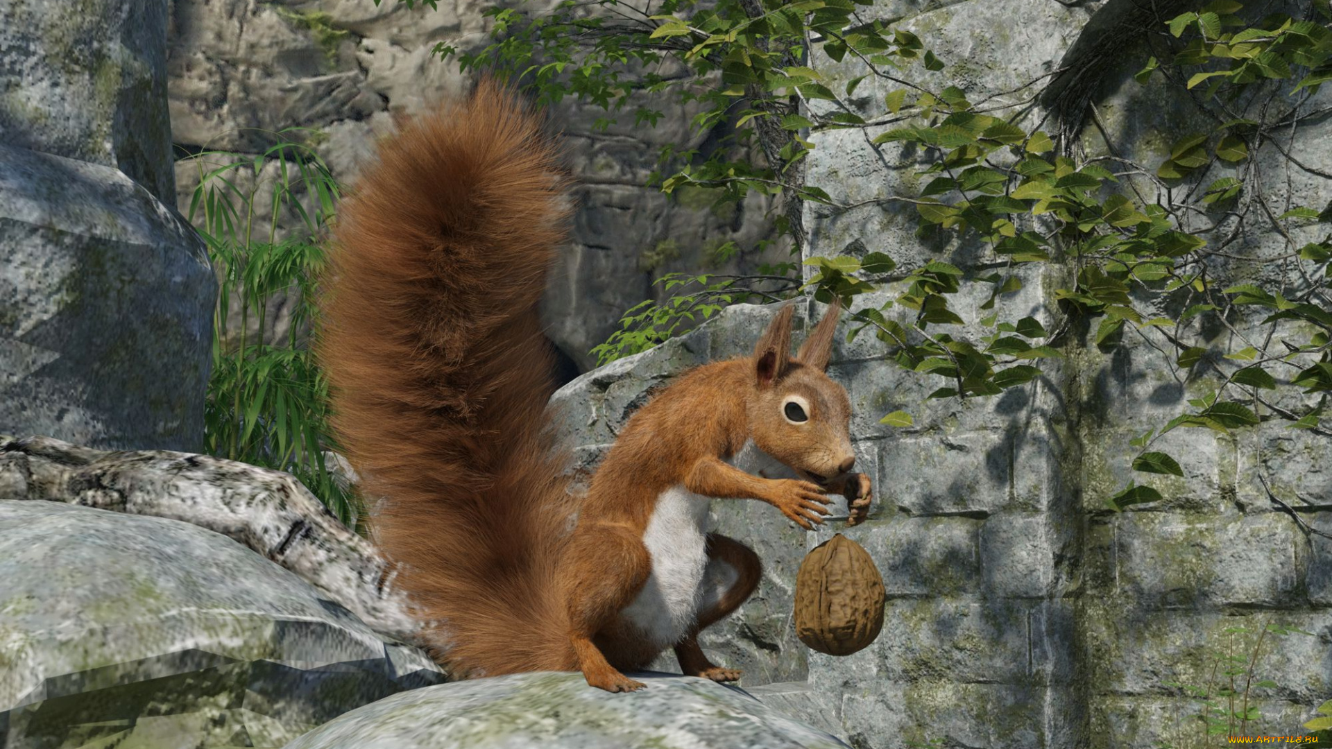 3д, графика, животные, , animals, белка