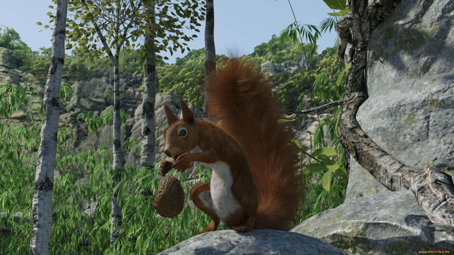 3д, графика, животные, , animals, белка
