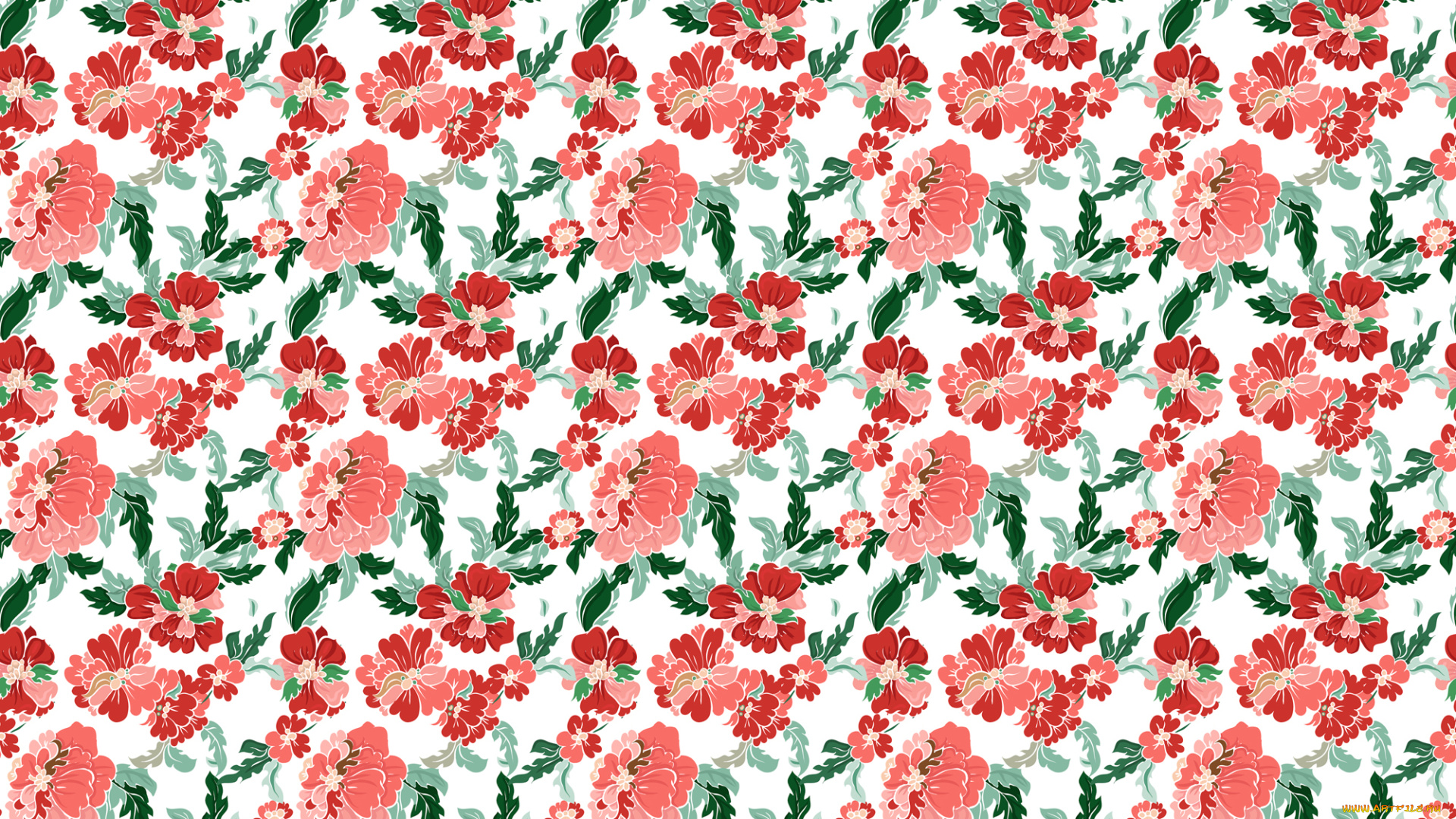 векторная, графика, цветы, , flowers, пионы, узор, цветы