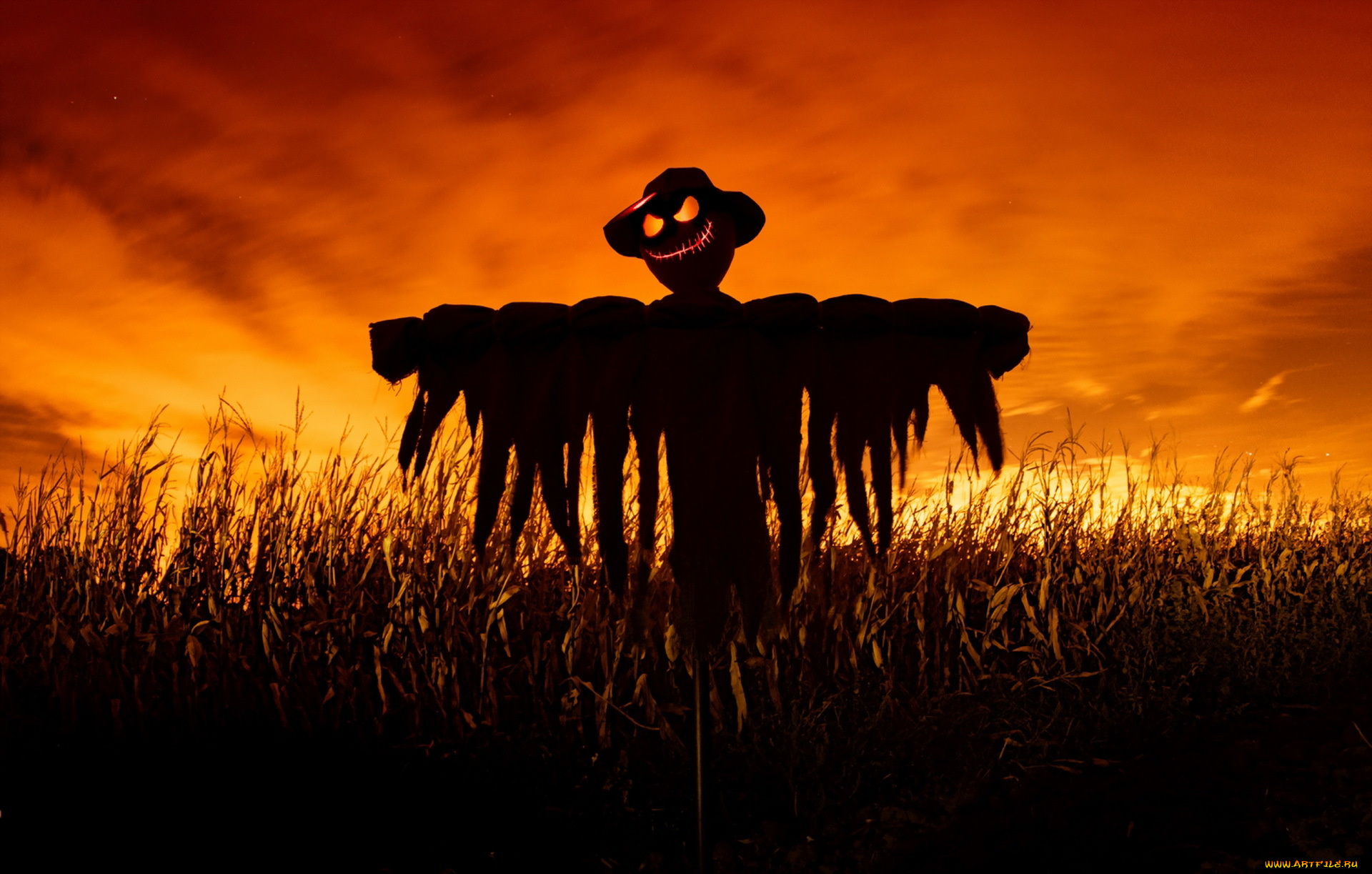праздничные, хэллоуин, поле, ночь, scarecrow