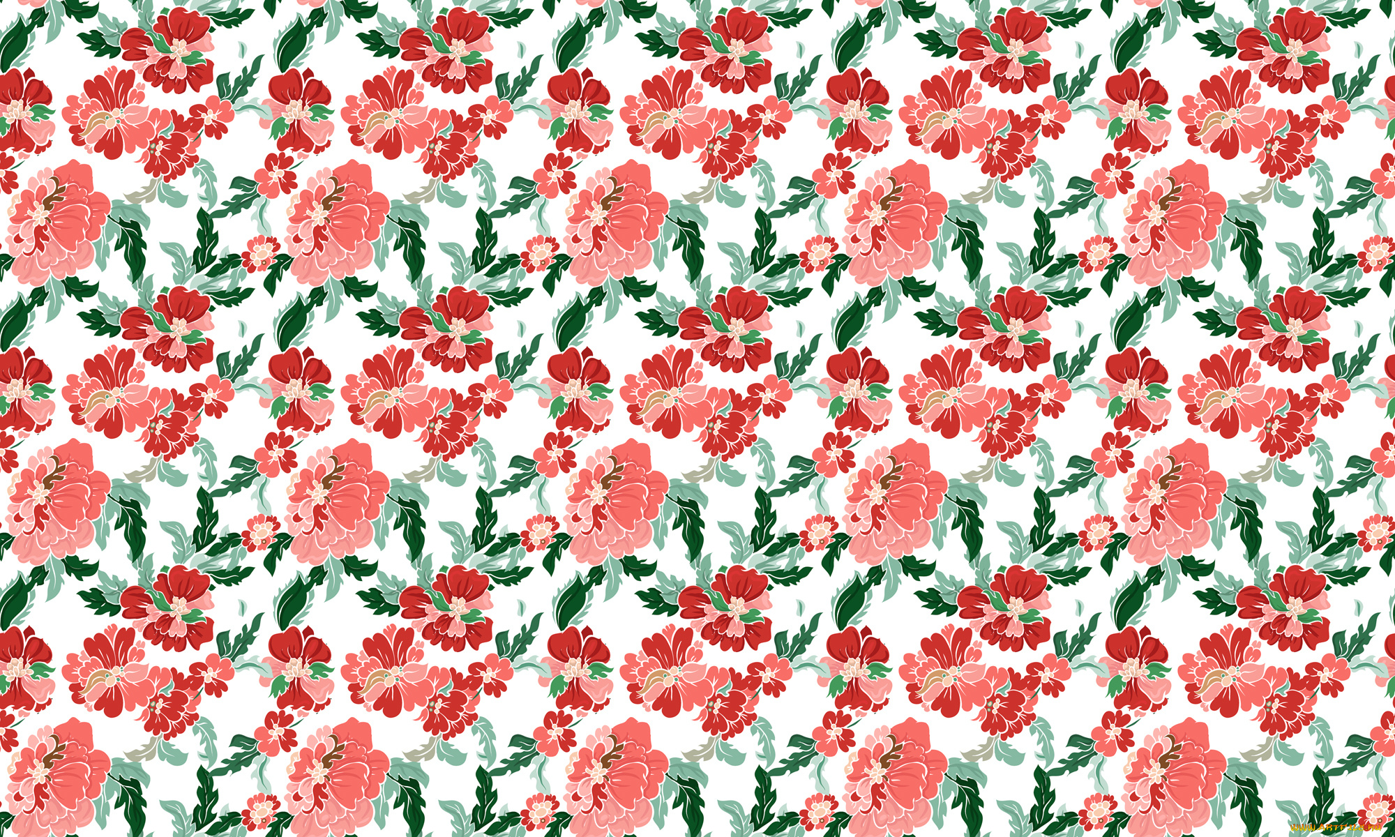 векторная, графика, цветы, , flowers, пионы, узор, цветы