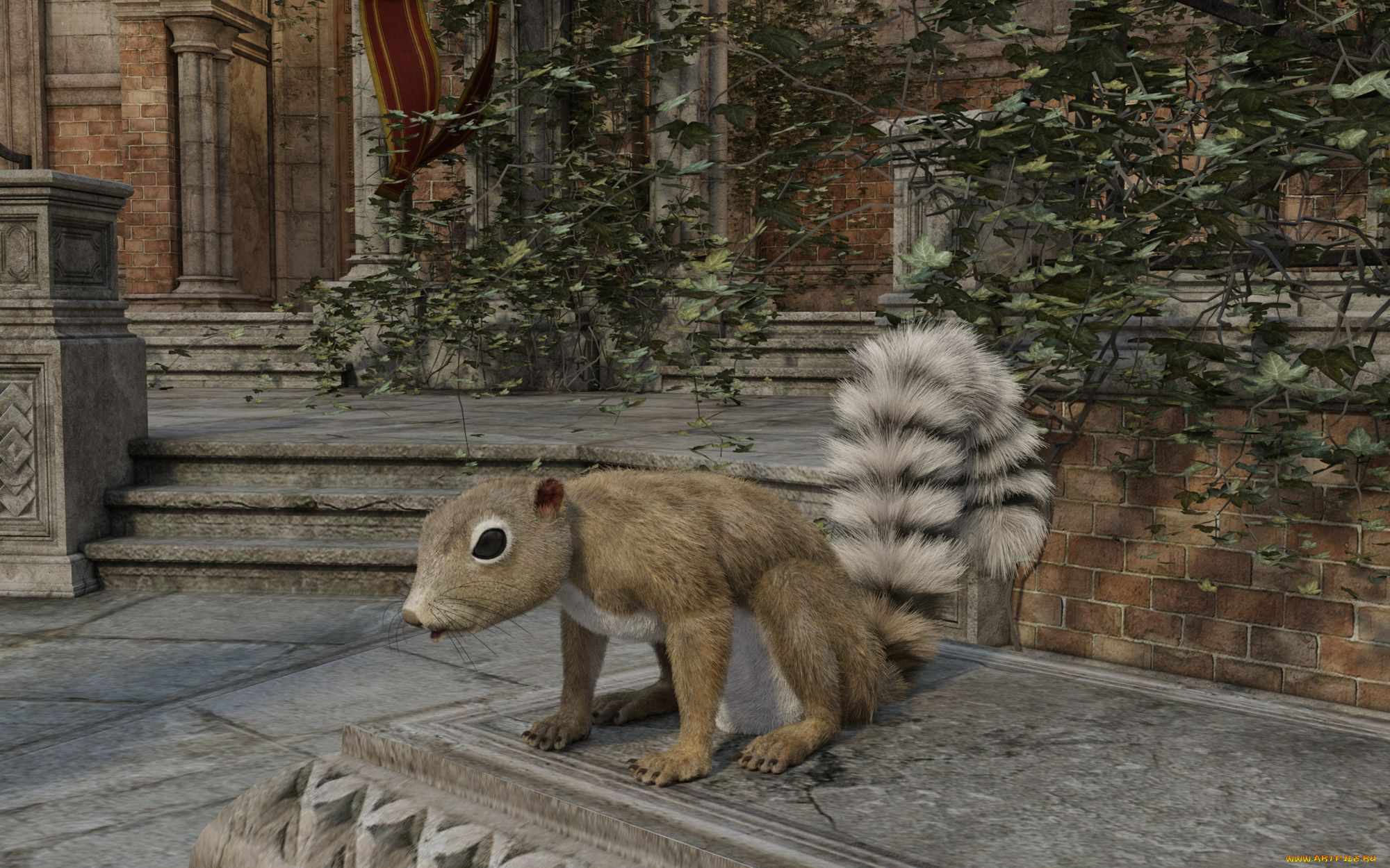 3д, графика, животные, , animals, белка