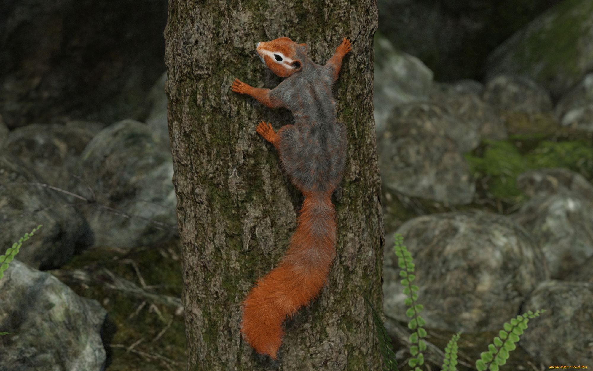 3д, графика, животные, , animals, белка