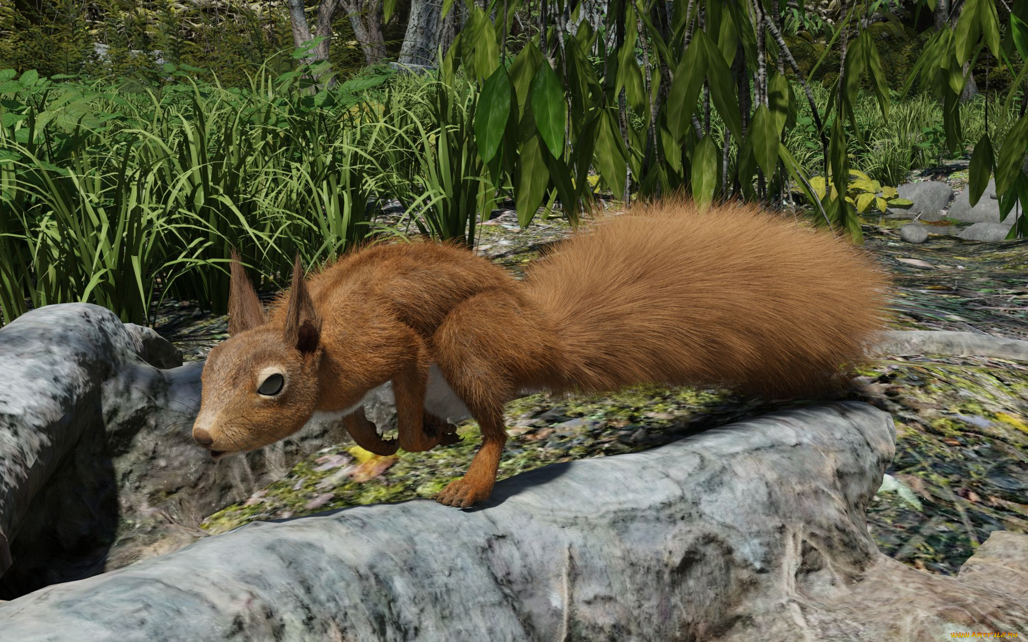 3д, графика, животные, , animals, белка