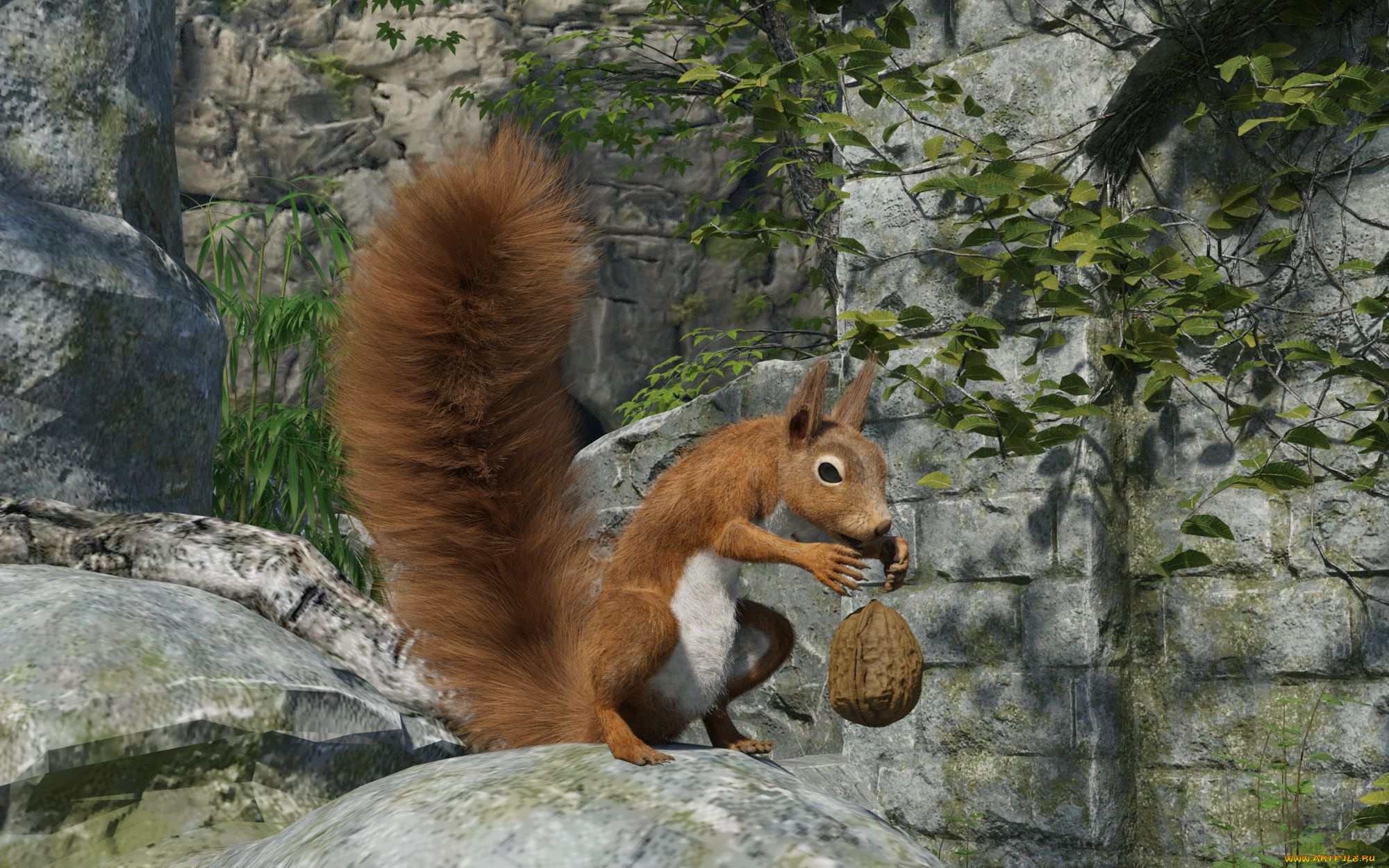 3д, графика, животные, , animals, белка