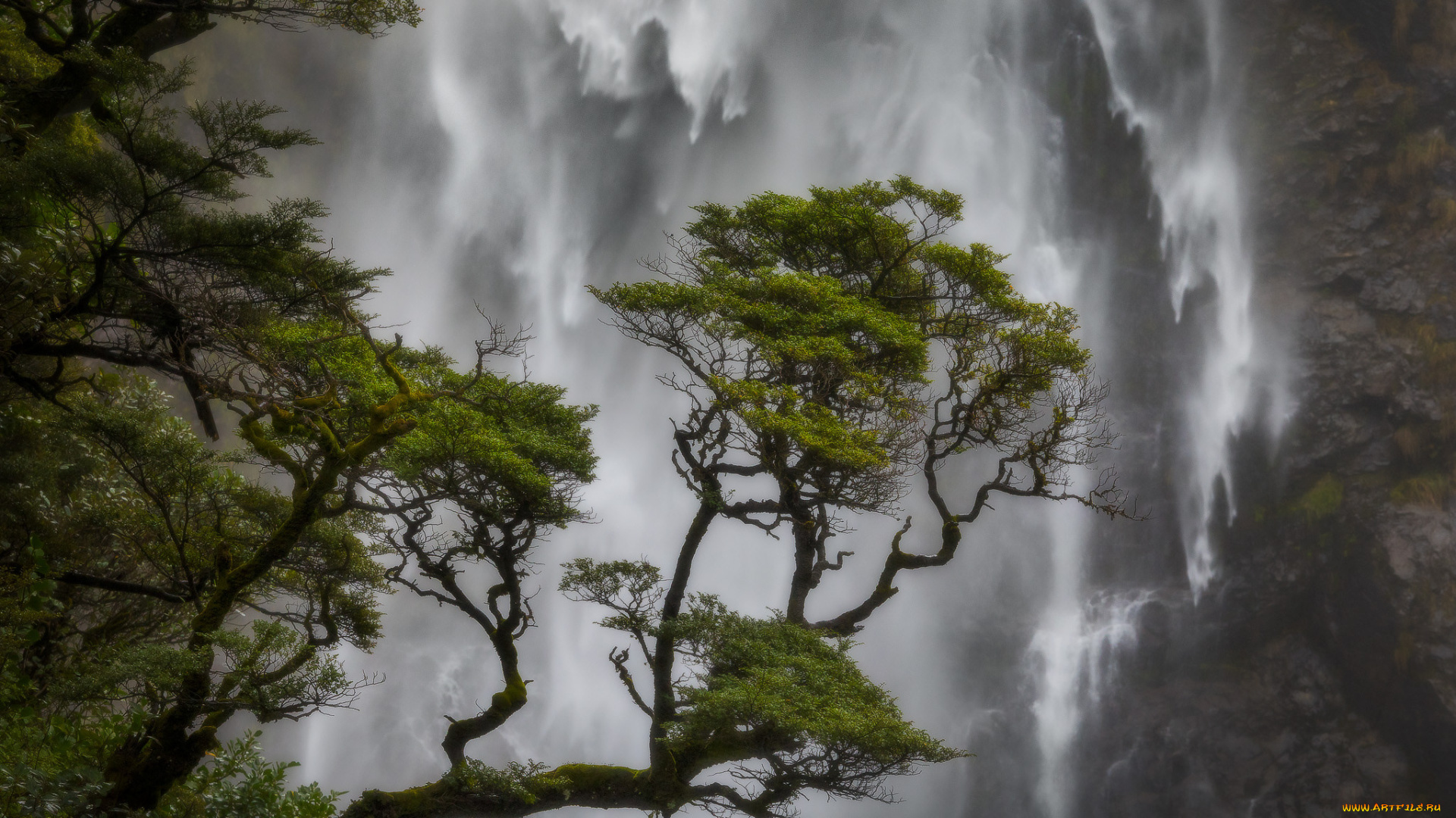 devil`s, punchbowl, falls, , new, zealand, природа, водопады, бездна