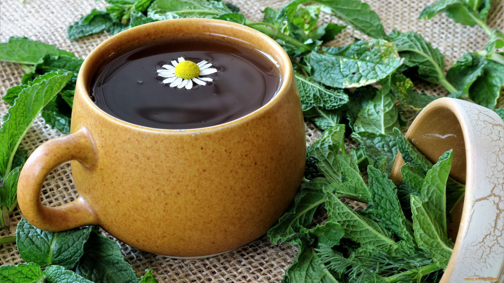 еда, кофе, , кофейные, зёрна, напиток