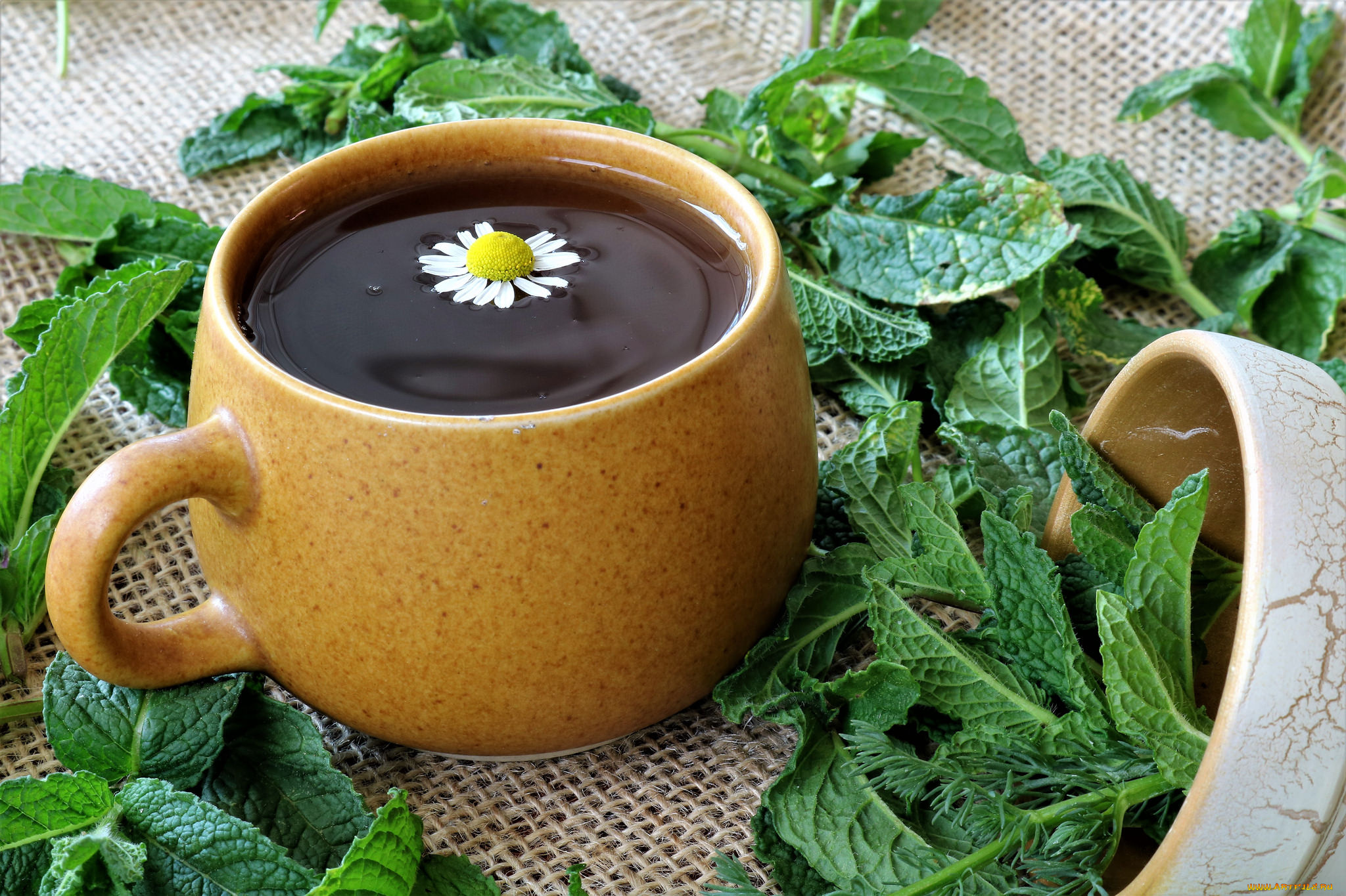 еда, кофе, , кофейные, зёрна, напиток