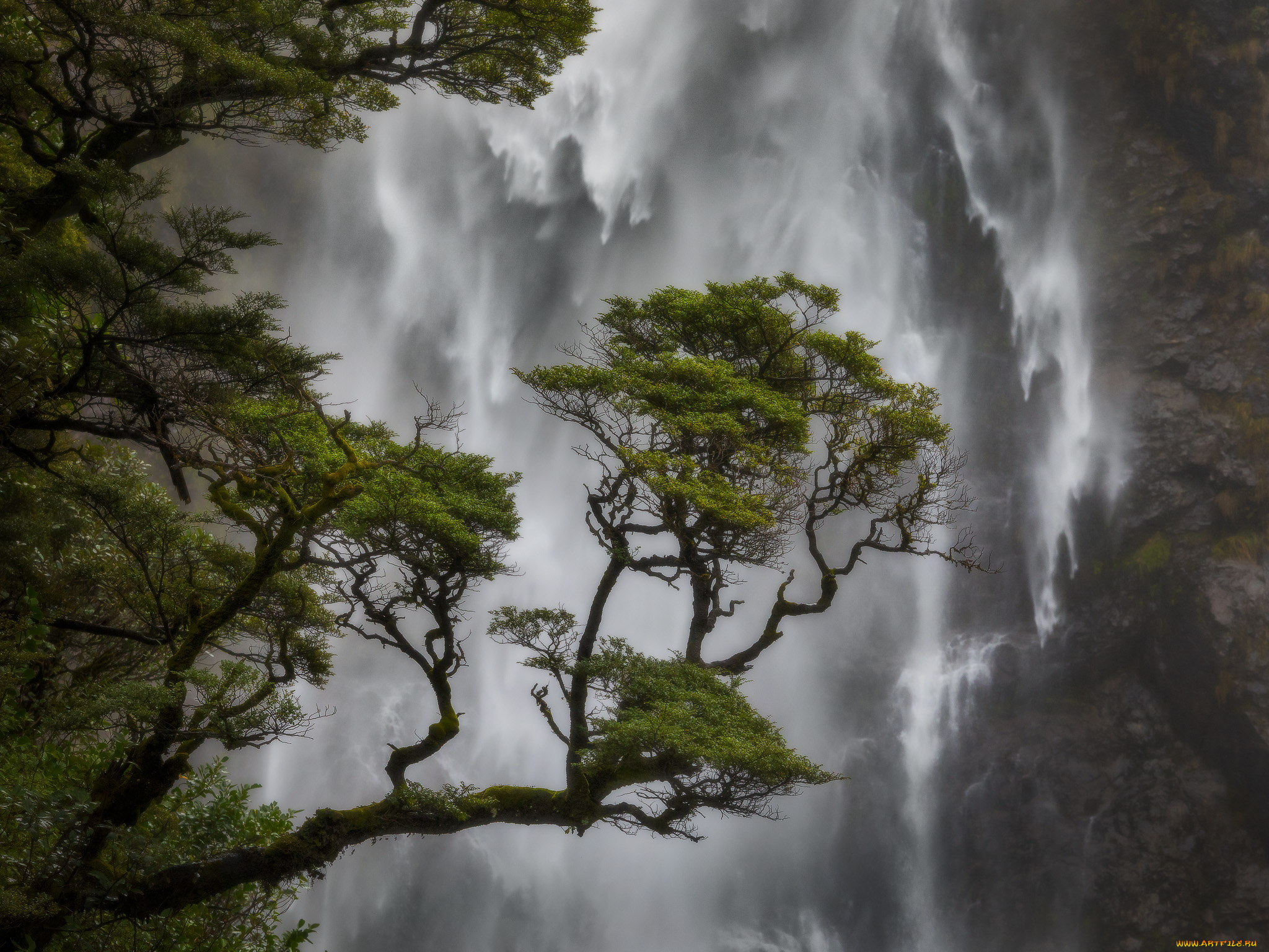 devil`s, punchbowl, falls, , new, zealand, природа, водопады, бездна